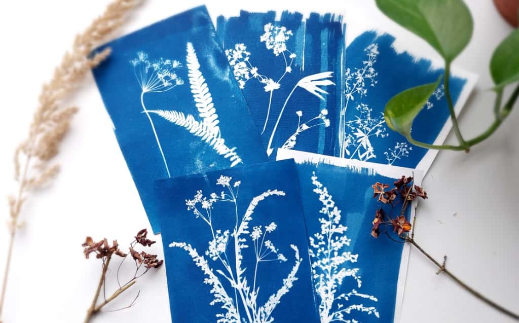 Cyanotypie und Physik Workshop