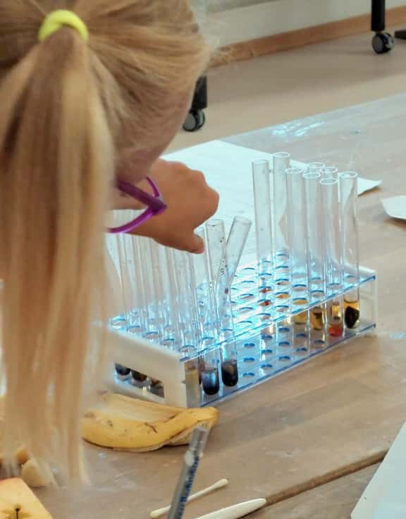 Lebensmittelchemie Workshop